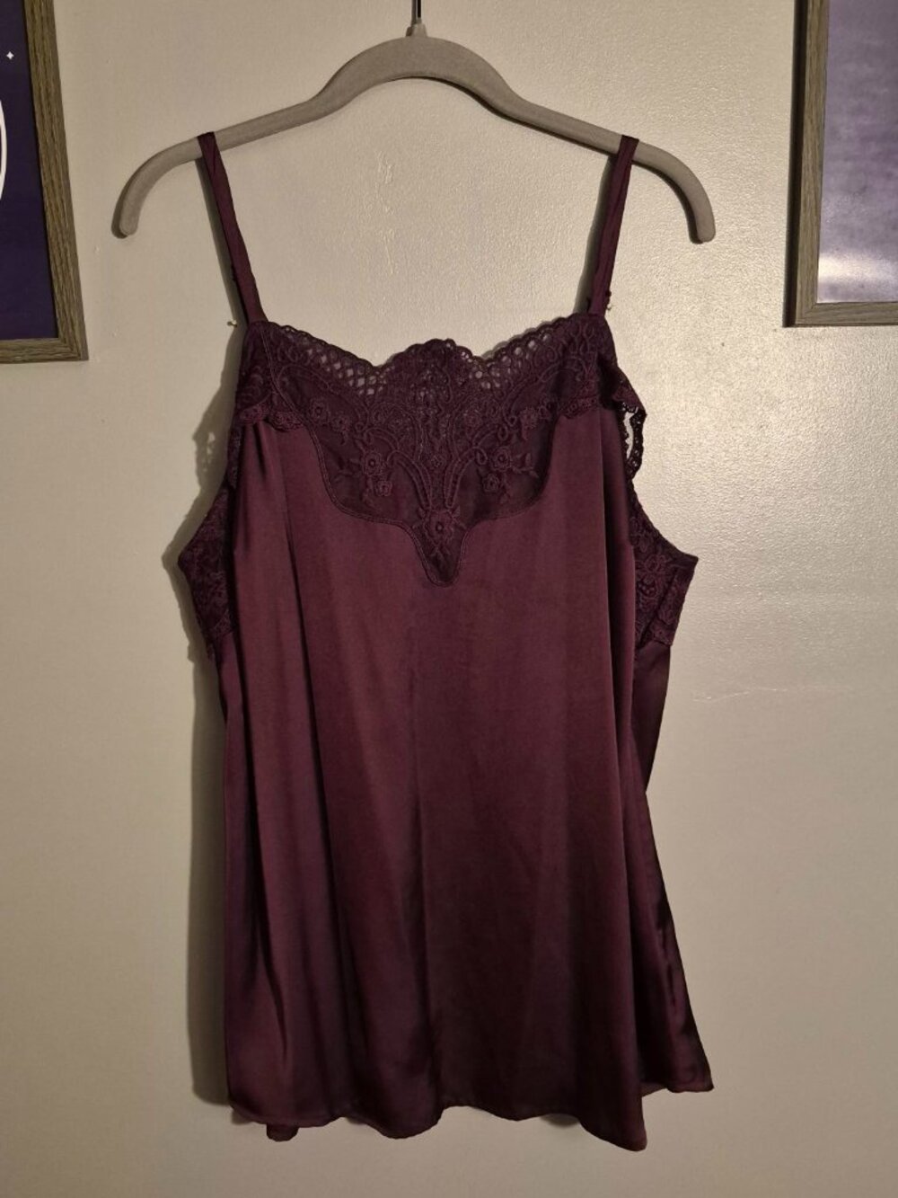 Purple Lace and Silk Chemise